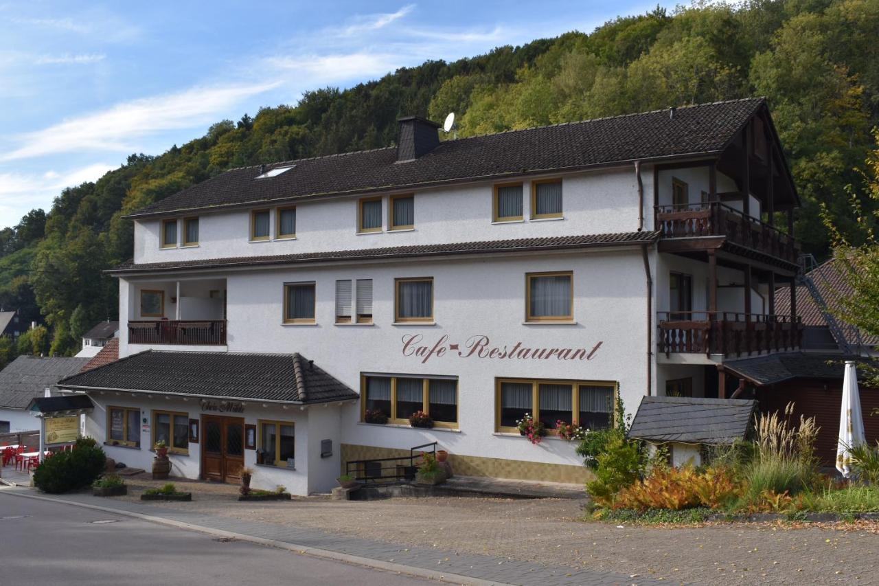 Hotel-Restaurant Theis-Muehle Biersdorf 外观 照片